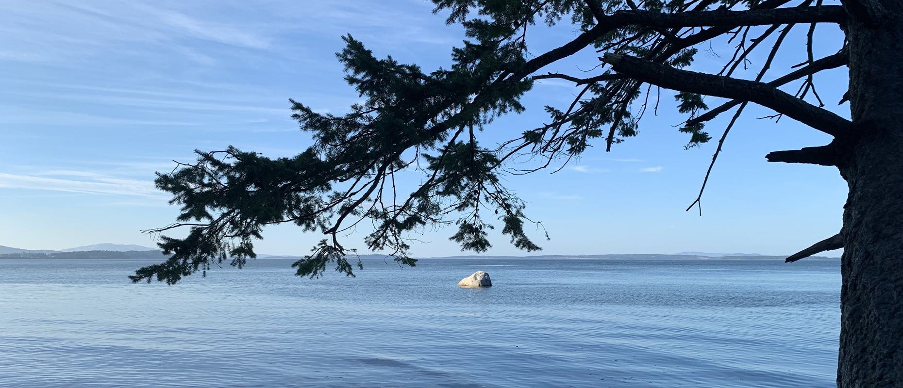 Ocean with distant rock