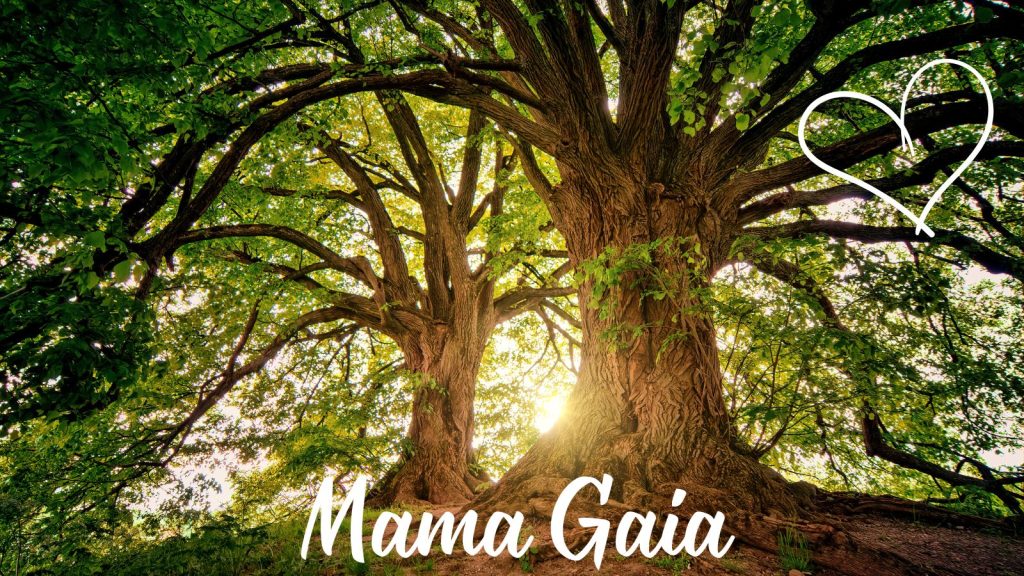 June 9, 2026 - Releasing anxiety and overwhelm by rooting into our Great Mother - Mother Earth - feeling her support and love